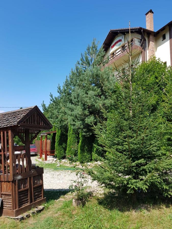 Vila Colt De Rai Hotel Rîşnov Ngoại thất bức ảnh